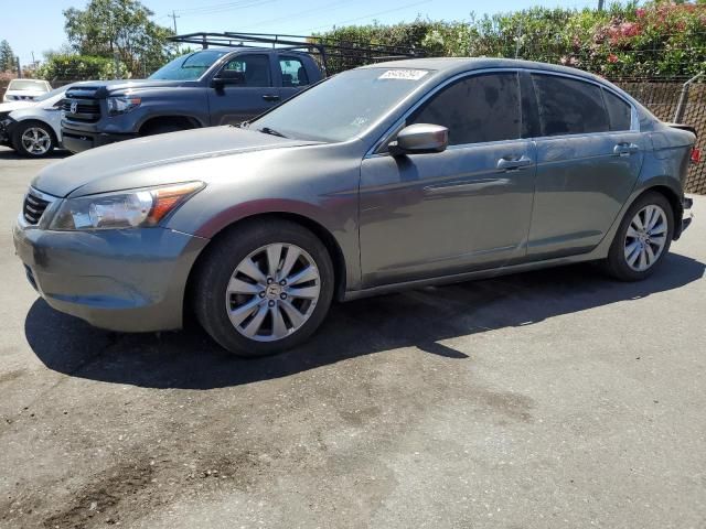 2011 Honda Accord EXL