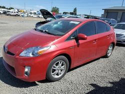 Salvage cars for sale at Eugene, OR auction: 2010 Toyota Prius