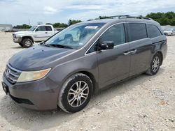 Salvage cars for sale at New Braunfels, TX auction: 2011 Honda Odyssey EXL