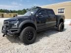 2018 Ford F150 Raptor