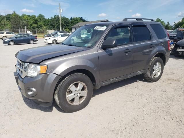 2012 Ford Escape XLT