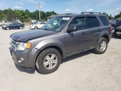 Ford Escape xlt salvage cars for sale: 2012 Ford Escape XLT