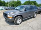 2003 Dodge Durango SLT