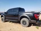 2021 Ford F150 Raptor