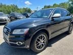 2014 Audi SQ5 Premium Plus