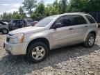 2007 Chevrolet Equinox LS