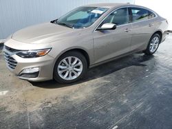 Salvage cars for sale at Opa Locka, FL auction: 2023 Chevrolet Malibu LT