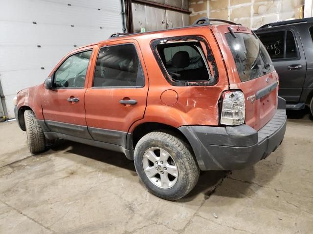 2006 Ford Escape XLT