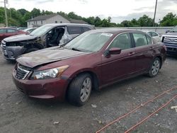 Salvage cars for sale at York Haven, PA auction: 2009 Honda Accord EXL