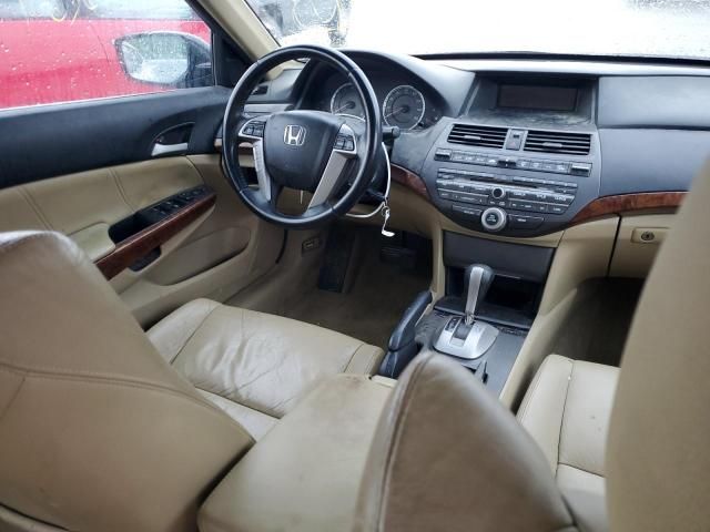 2011 Honda Accord EXL