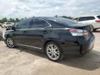 2010 Lexus HS 250H