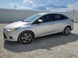 Salvage cars for sale at Arcadia, FL auction: 2014 Ford Focus SE