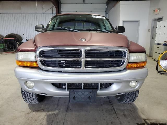 2002 Dodge Dakota Quad SLT