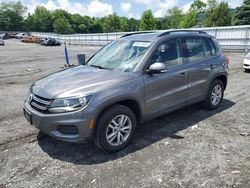 Volkswagen Tiguan s Vehiculos salvage en venta: 2015 Volkswagen Tiguan S