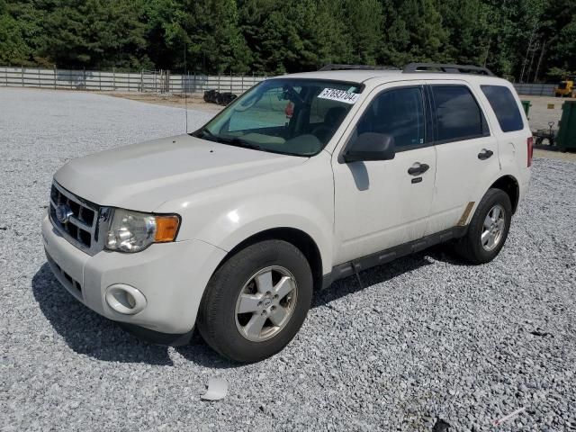 2011 Ford Escape XLT