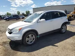 Salvage cars for sale from Copart Rocky View County, AB: 2011 Honda CR-V EXL
