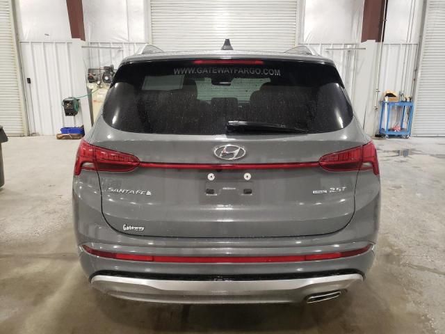 2021 Hyundai Santa FE Calligraphy