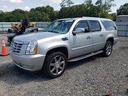 Salvage cars for sale at Augusta, GA auction: 2010 Cadillac Escalade ESV Luxury