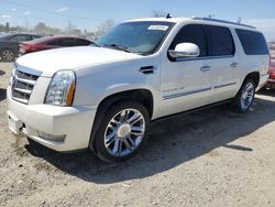 Cadillac Escalade salvage cars for sale: 2014 Cadillac Escalade ESV Platinum