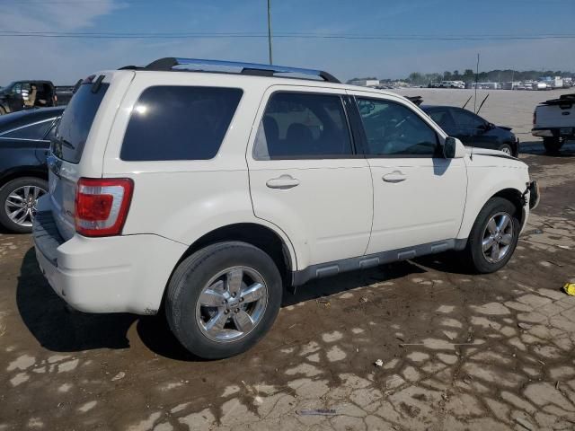 2009 Ford Escape Limited