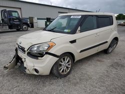 Salvage cars for sale at Leroy, NY auction: 2013 KIA Soul +