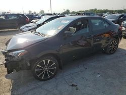 Salvage cars for sale at Indianapolis, IN auction: 2019 Toyota Corolla L