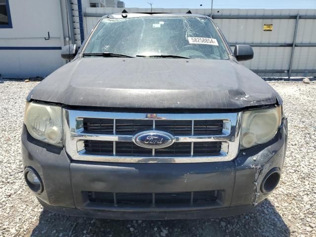 2009 Ford Escape XLT