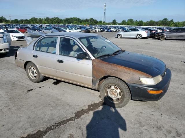 1996 Toyota Corolla