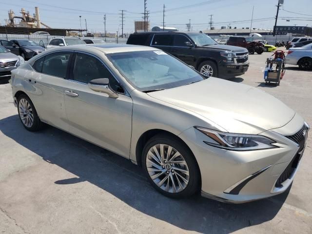 2019 Lexus ES 300H