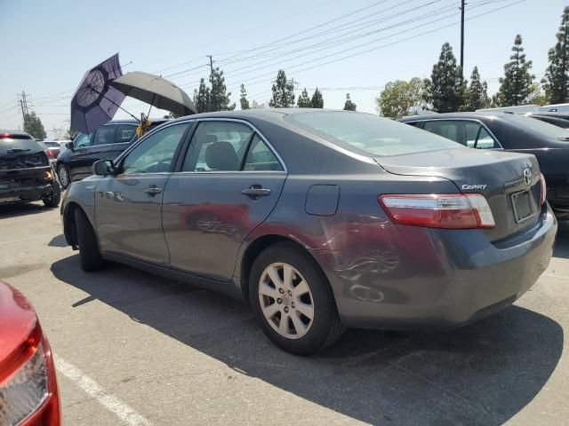 2009 Toyota Camry Hybrid