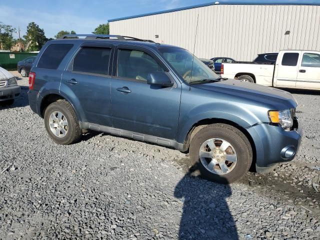 2010 Ford Escape Limited