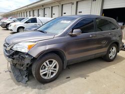 Salvage SUVs for sale at auction: 2011 Honda CR-V EXL