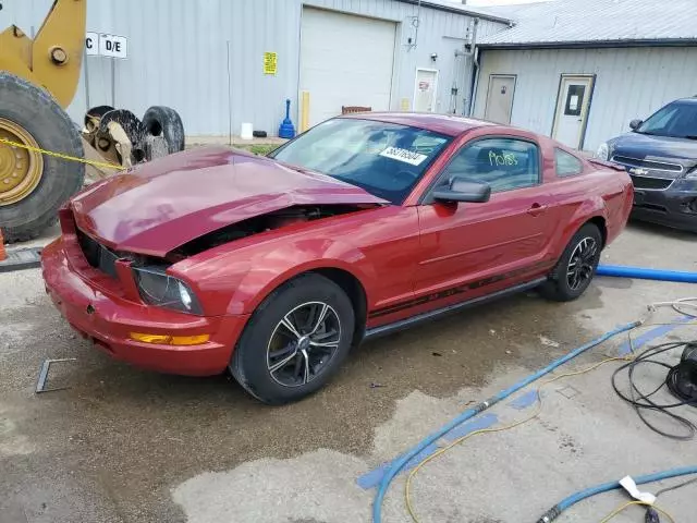 2008 Ford Mustang