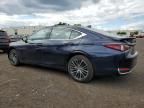 2022 Lexus ES 250 Base