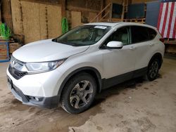 2019 Honda CR-V EXL en venta en Rapid City, SD