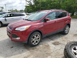 Salvage SUVs for sale at auction: 2013 Ford Escape SEL