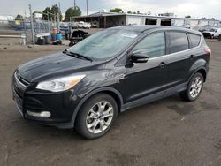 Salvage cars for sale at Denver, CO auction: 2013 Ford Escape SEL