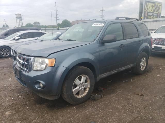 2010 Ford Escape XLT