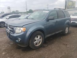 Salvage cars for sale at Chicago Heights, IL auction: 2010 Ford Escape XLT