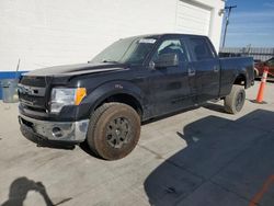 Salvage cars for sale at Farr West, UT auction: 2014 Ford F150 Supercrew