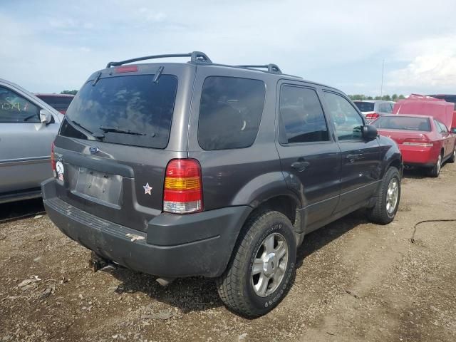 2003 Ford Escape XLT