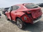 2024 Lexus NX 350H Base