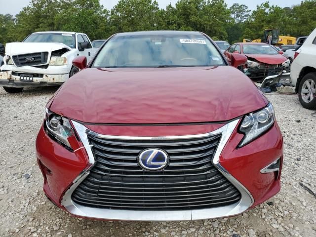 2013 Lexus ES 300H