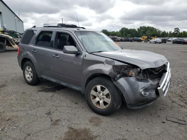 2011 Ford Escape Limited