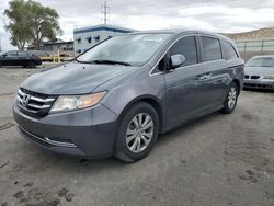 Salvage cars for sale at Albuquerque, NM auction: 2014 Honda Odyssey EXL