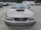 2002 Ford Mustang GT