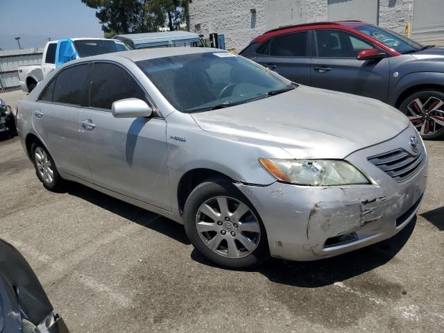 2008 Toyota Camry Hybrid