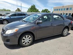 Toyota Corolla Base salvage cars for sale: 2010 Toyota Corolla Base