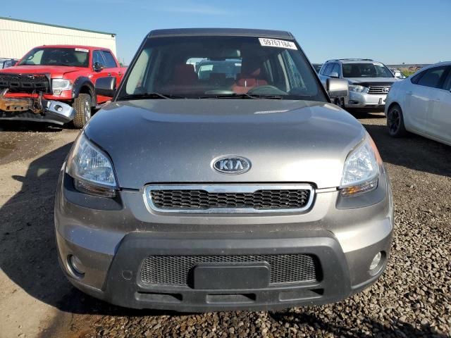 2010 KIA Soul +