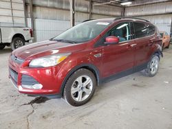 Ford Escape se salvage cars for sale: 2015 Ford Escape SE